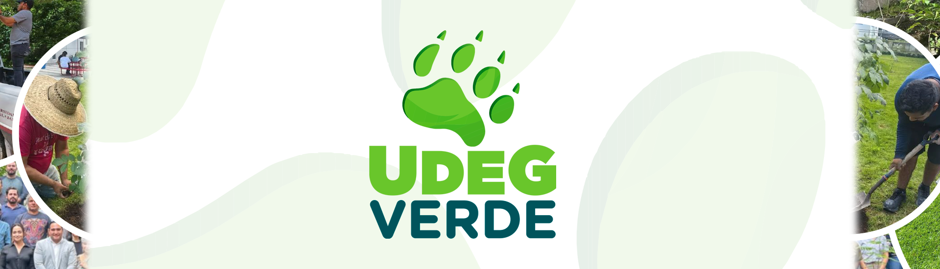 UDG Verde