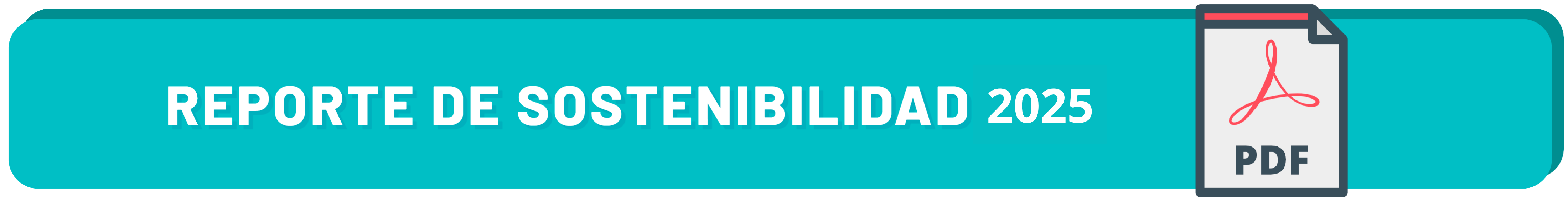 REPORTE DE SOSTENIBILIDAD 2024