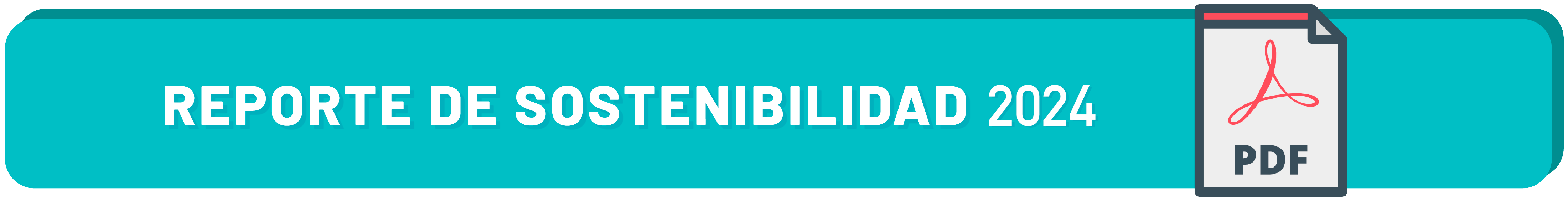 REPORTE DE SOSTENIBILIDAD 2024