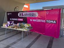 SEMS reúne más de 9 mil despensas para familias vulnerables en Jalisco